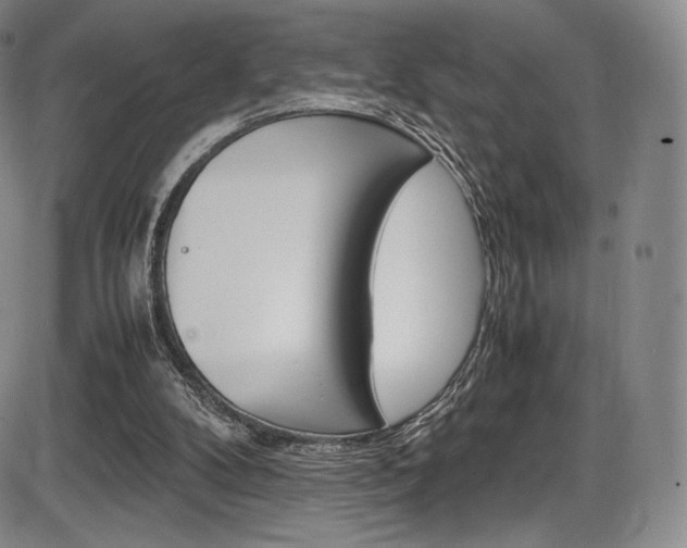 X0000086340104200703301007