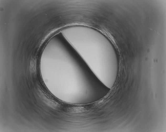 X0000086340108200703301007
