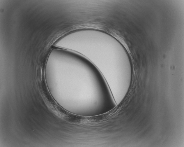 X0000086340109200703301007