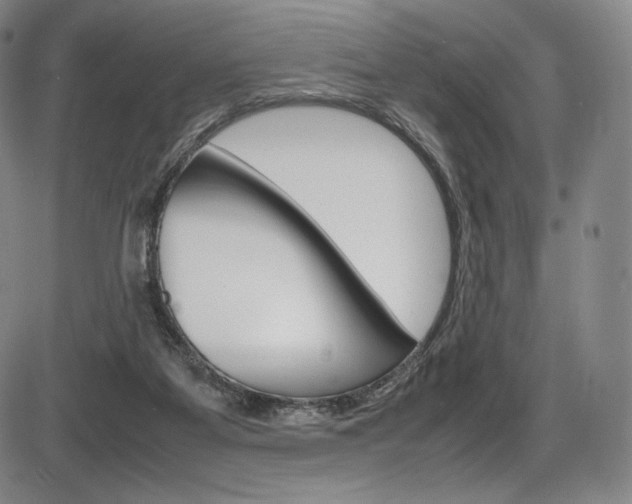 X0000086340115200703301007