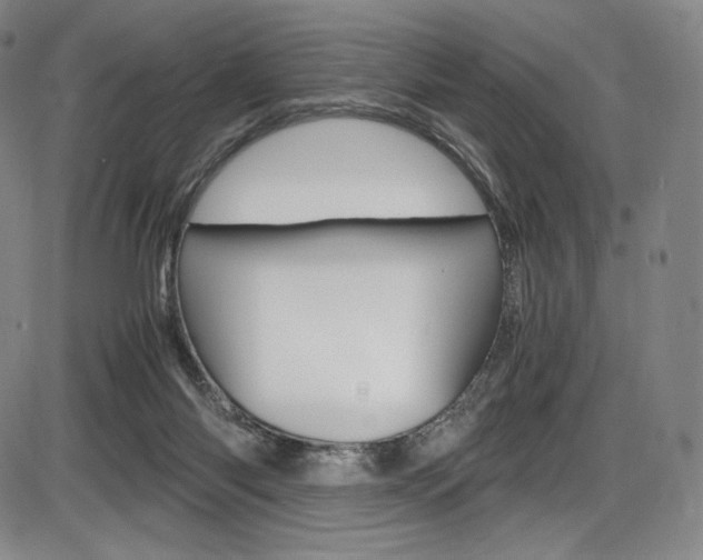 X0000086340118200703301007