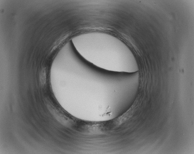 X0000086340120200703301007