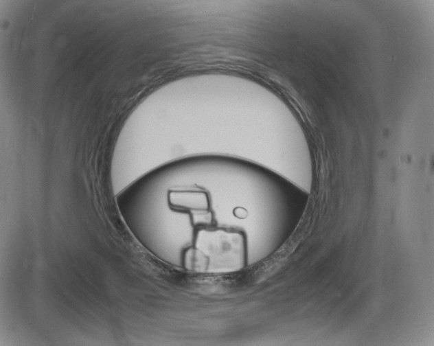 X0000086340121200703301007