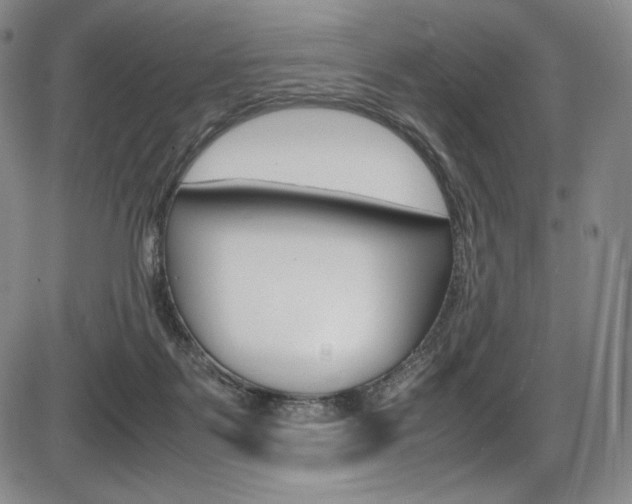 X0000086340123200703301007