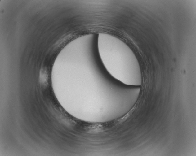X0000086340124200703301007