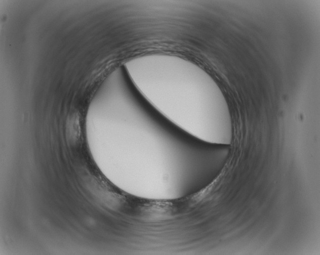 X0000086340128200703301007