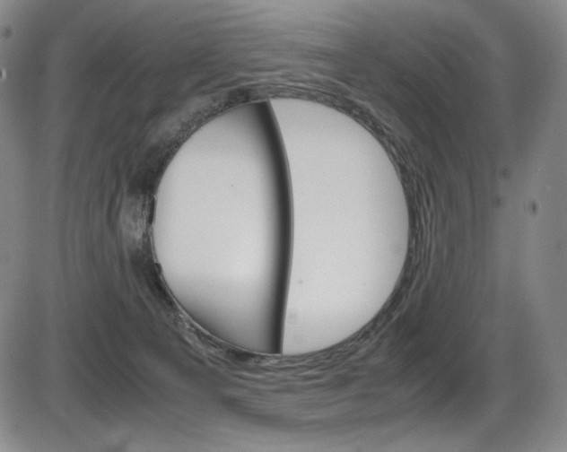 X0000086340129200703301006