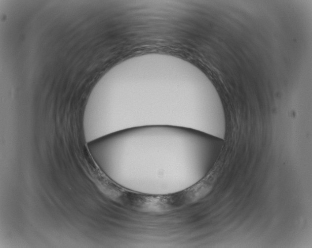 X0000086340130200703301006