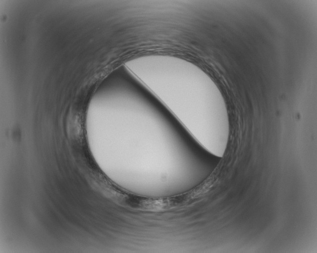 X0000086340131200703301006