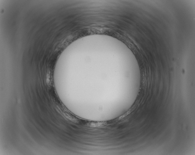 X0000086340134200703301006