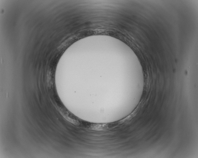 X0000086340136200703301006