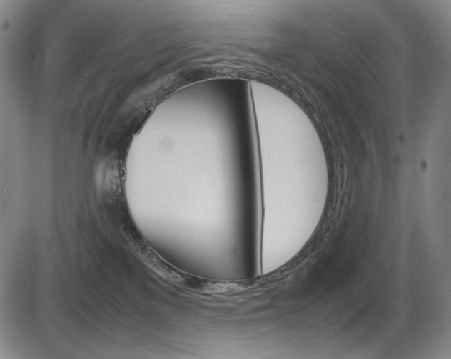 X0000086340137200703301006