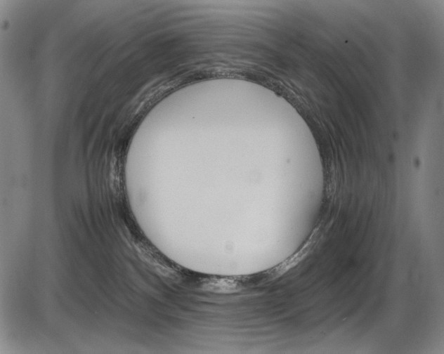 X0000086340140200703301006