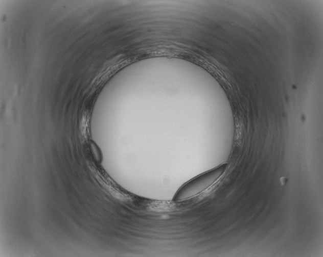 X0000086340142200703301006