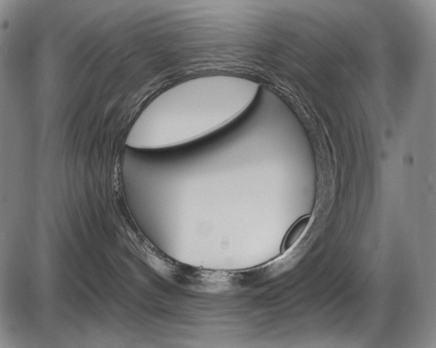X0000086340144200703301006