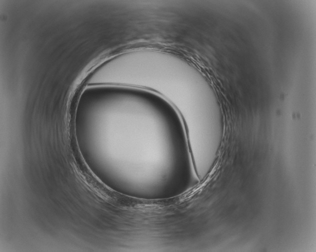 X0000086340150200703301006