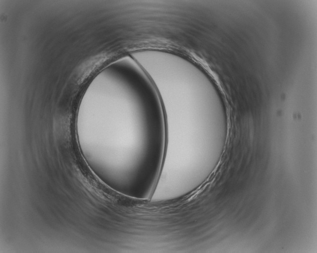 X0000086340154200703301006