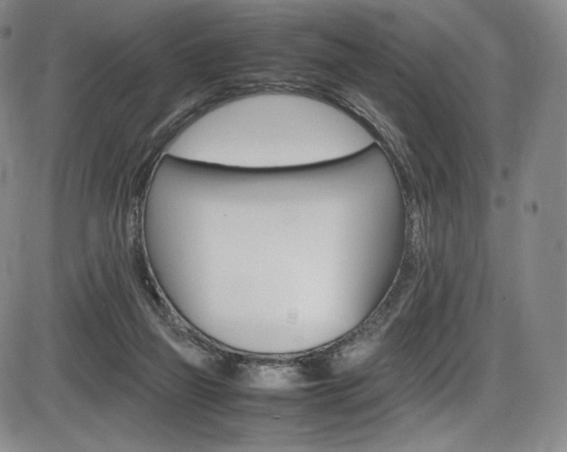 X0000086340165200703301006