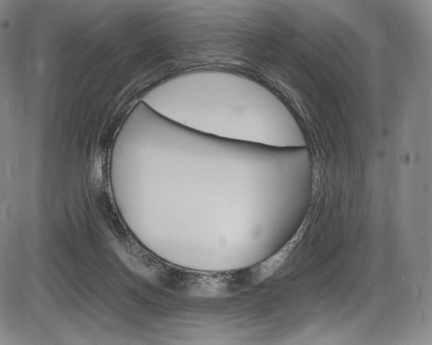 X0000086340166200703301006