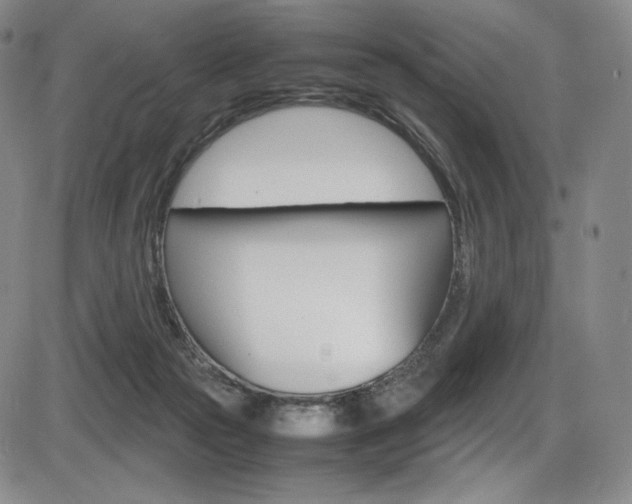 X0000086340169200703301006