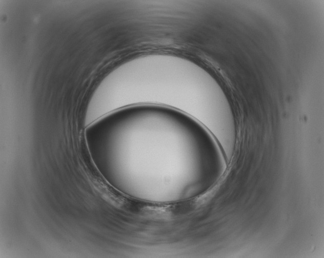 X0000086340170200703301006