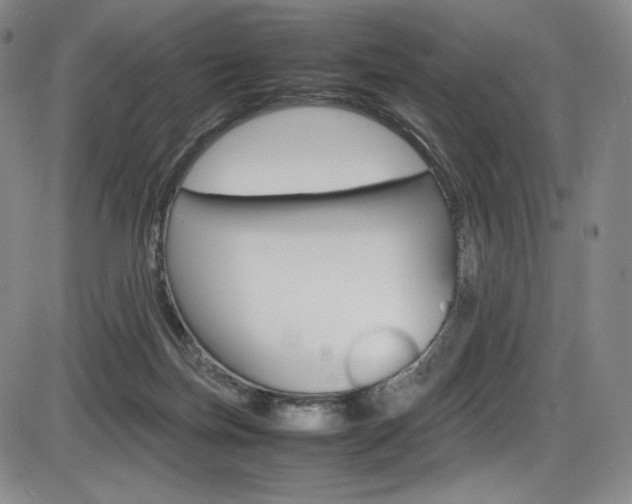 X0000086340171200703301006