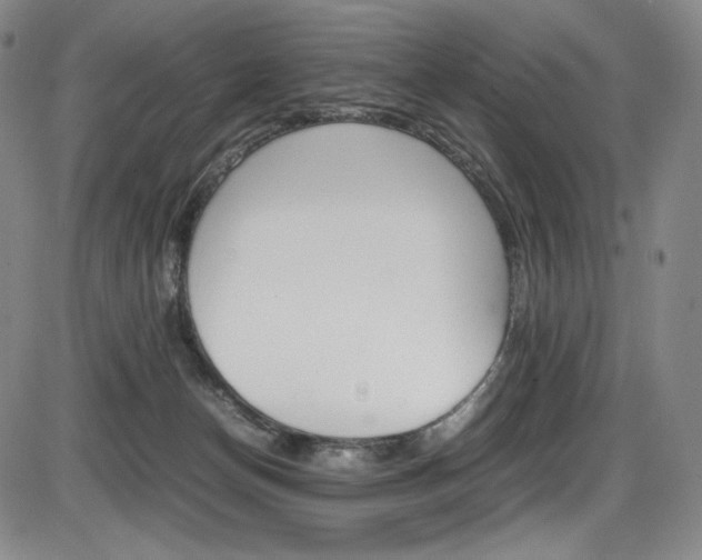 X0000086340174200703301006