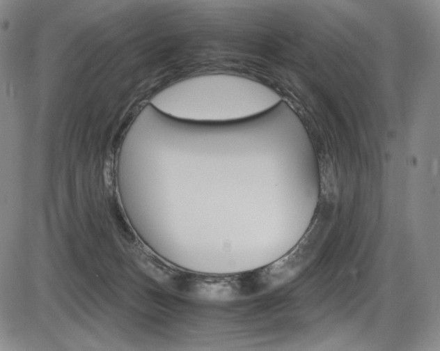 X0000086340175200703301006