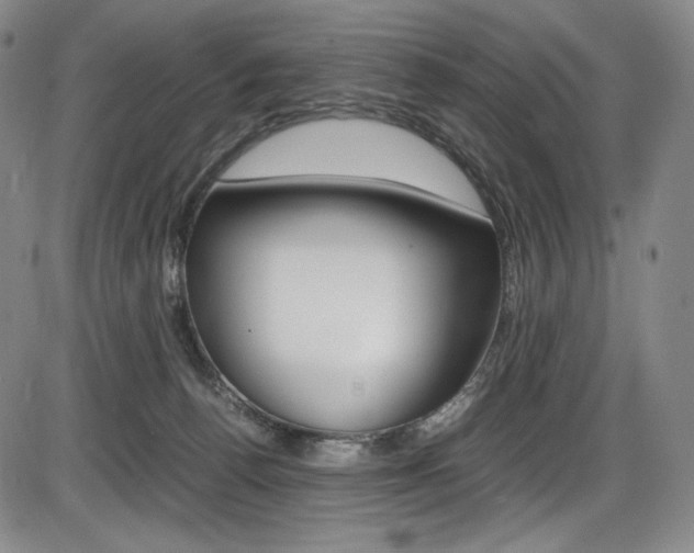 X0000086340176200703301006