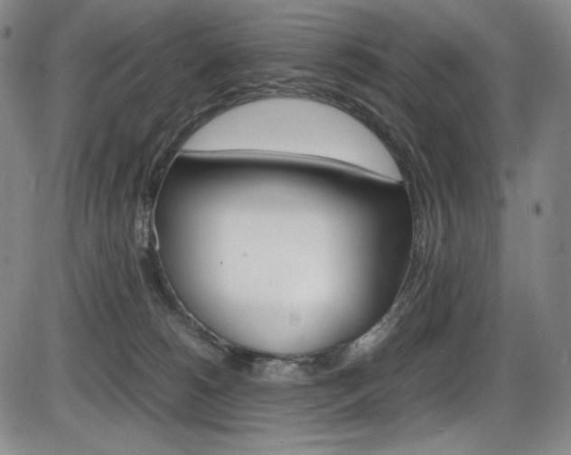 X0000086340180200703301006