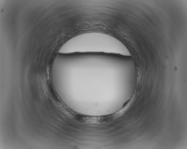 X0000086340182200703301006
