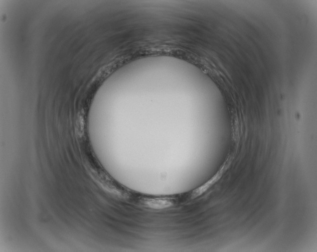 X0000086340183200703301006