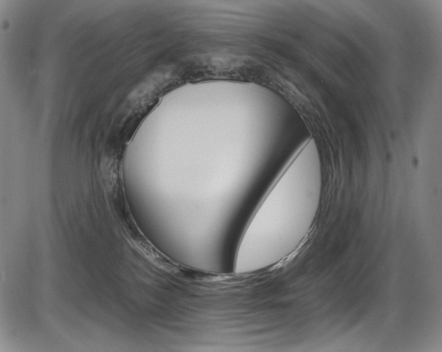 X0000086340184200703301006