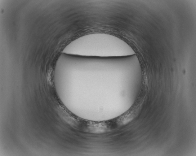 X0000086340185200703301006