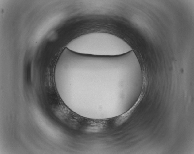 X0000086340191200703301006