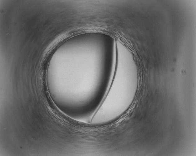 X0000086340197200703301005