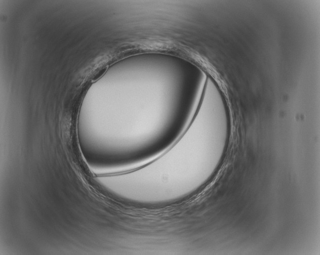X0000086340201200703301005