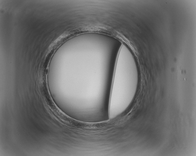 X0000086340203200703301005