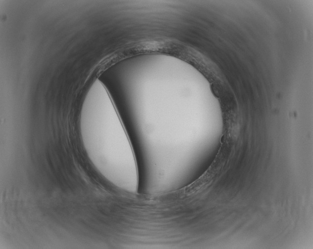 X0000086340216200703301005