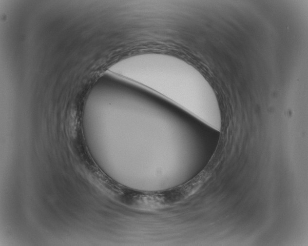 X0000086340223200703301005