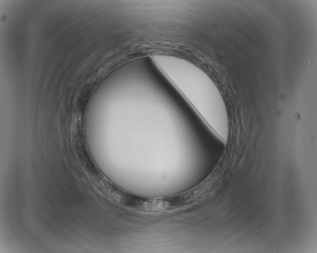 X0000086340225200703301005