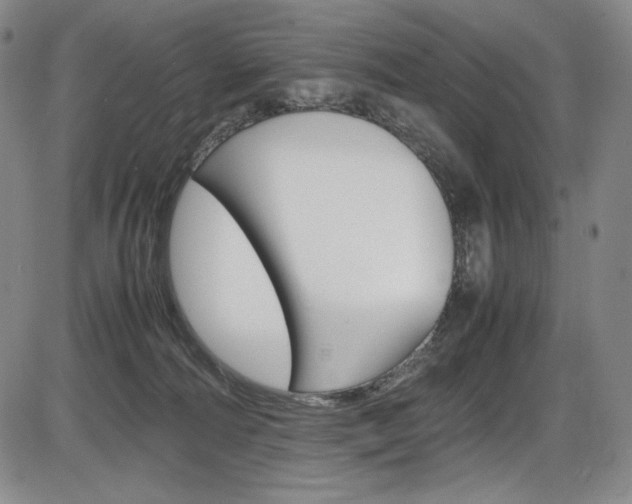 X0000086340226200703301005
