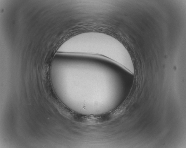 X0000086340229200703301005
