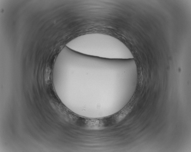 X0000086340230200703301005