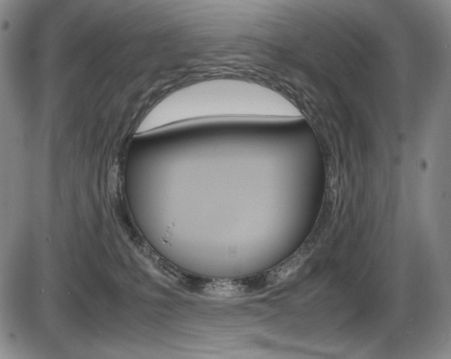 X0000086340231200703301005