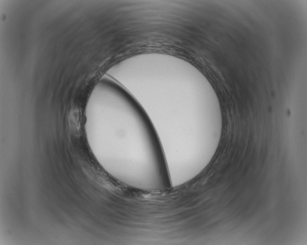 X0000086340232200703301005