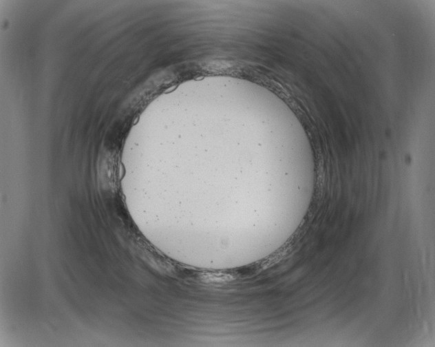 X0000086340234200703301005