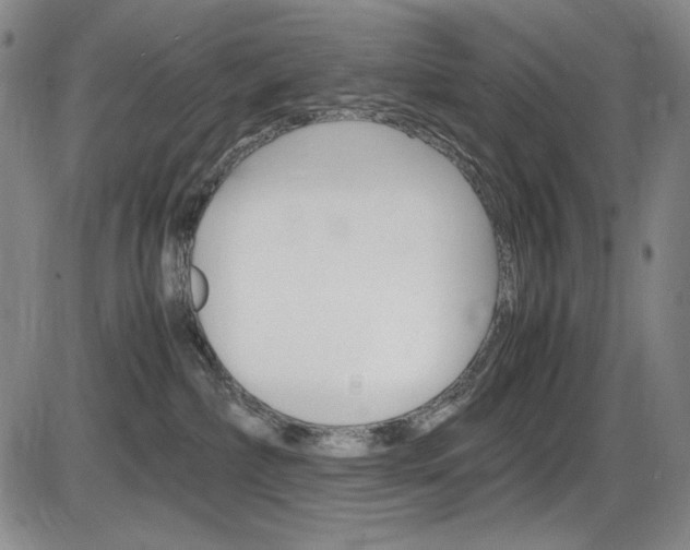 X0000086340236200703301005