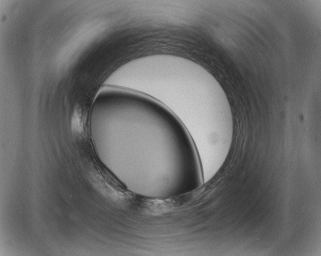 X0000086340239200703301005
