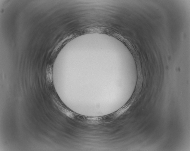 X0000086340240200703301005